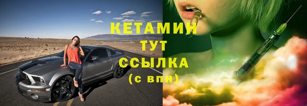прущие грибы Ельня