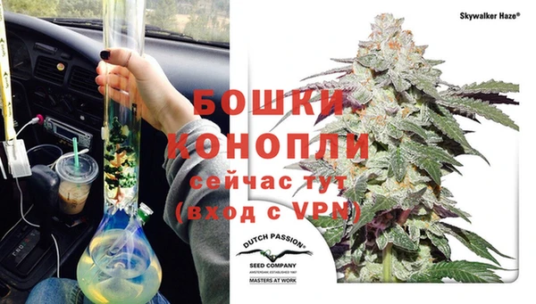 прущие грибы Ельня