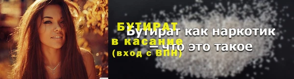прущие грибы Ельня