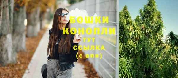 прущие грибы Ельня