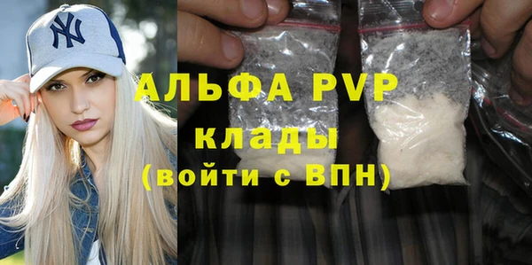 прущие грибы Ельня