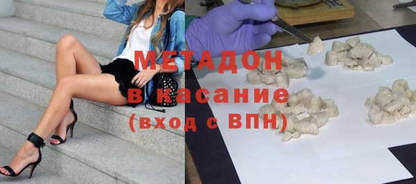 прущие грибы Ельня