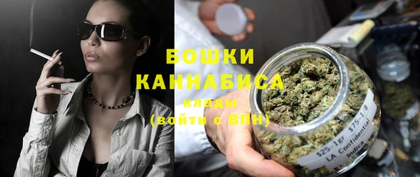 прущие грибы Ельня