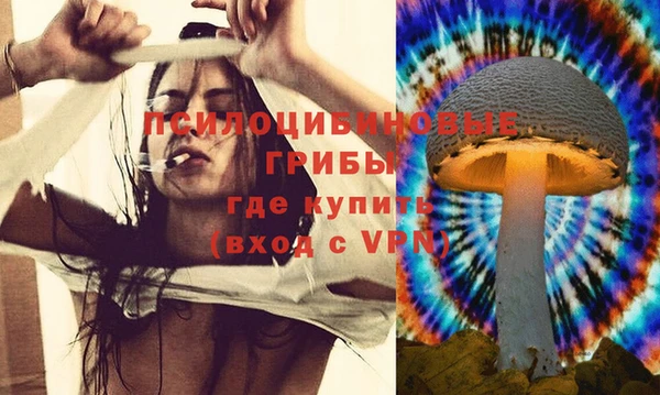 spice Елабуга