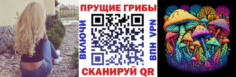 купить наркотик Велиж darknet состав Галлюциногенные грибы Magic Shrooms